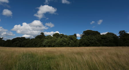 Welcome to Miller Homes